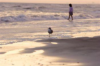 Club Wyndham Dye Villas North Myrtle Beach Bagian luar foto